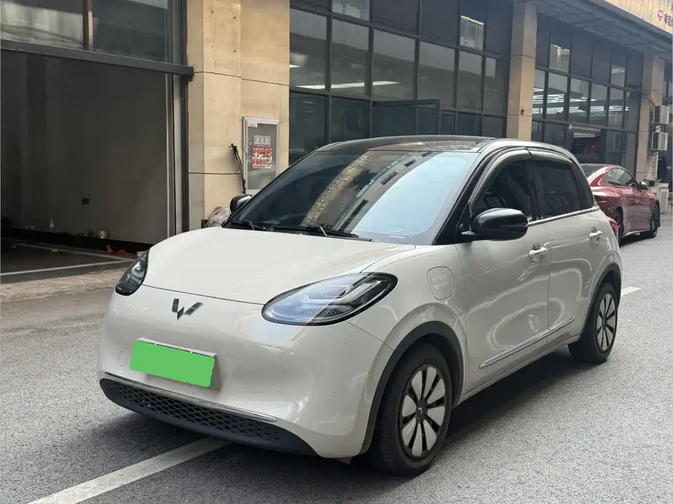 Wuling Motors Wuling Bingo 333km Joyful Version 2024