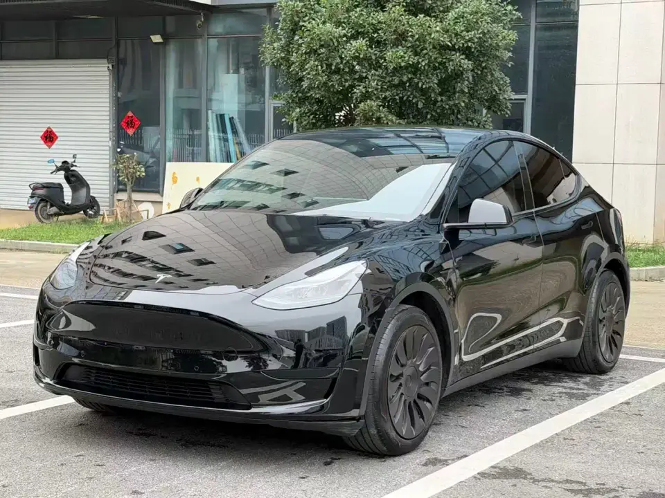 Tesla Model Y Rear-Wheel Drive Version 2022
