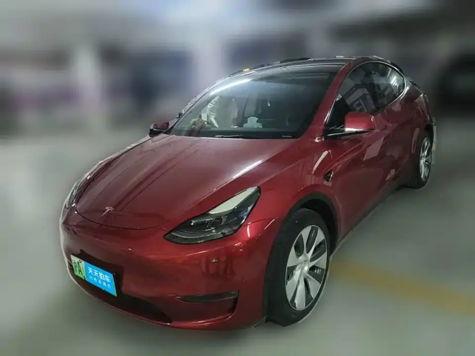 Tesla Model Y Standard Range Rear-Wheel Drive 2021