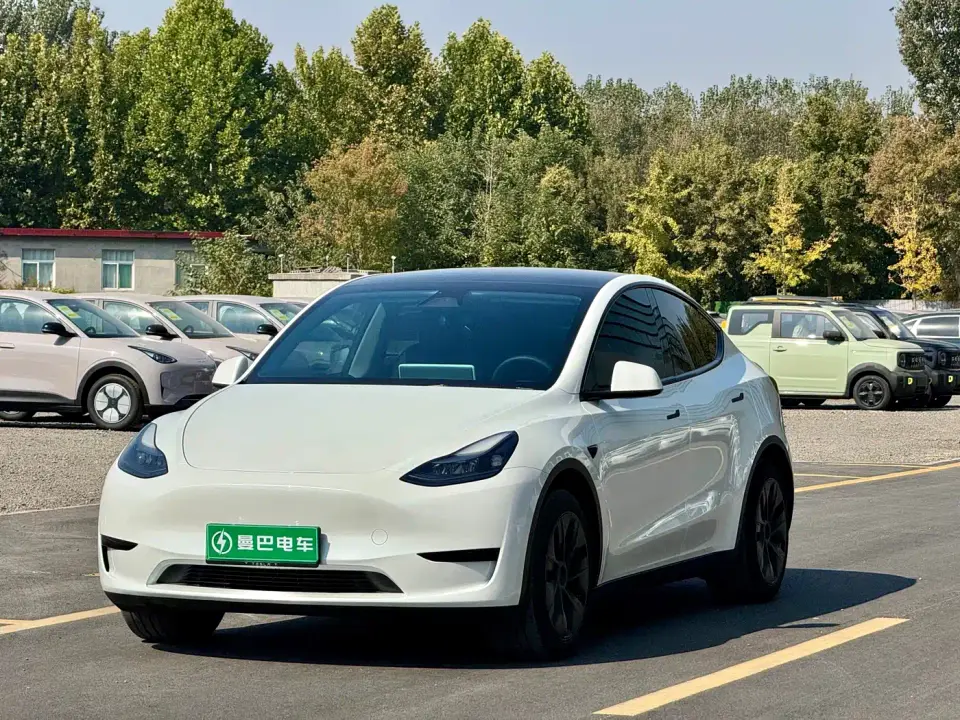 Tesla Model Y Rear-Wheel Drive Version 2024