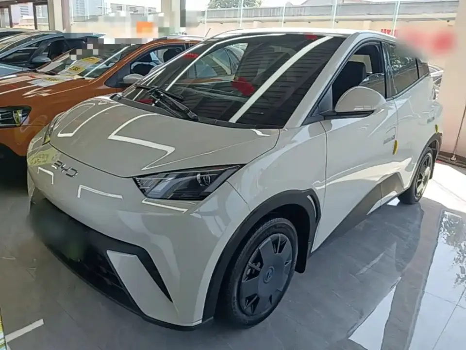 BYD Seagull 305km Vitality 2025