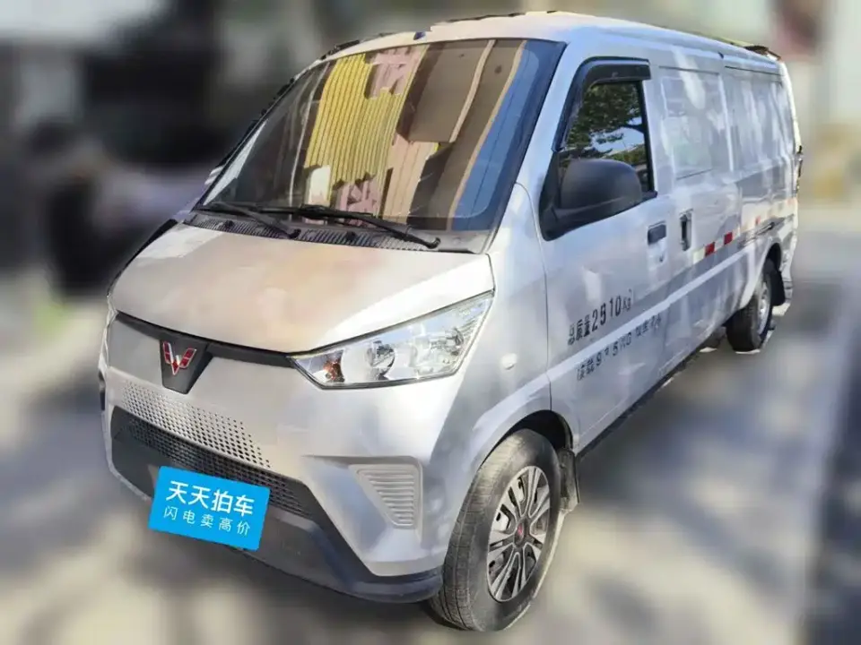Wuling Motors Wuling EV50 Pure Electric Logistics Van Penghui Non-Heated Battery 2021
