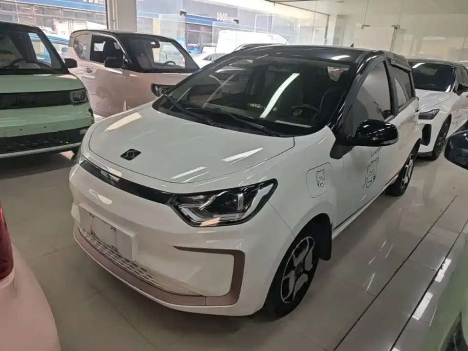 Sehol Flower Fairy 302km Luxury Edition 31.4kWh 2021