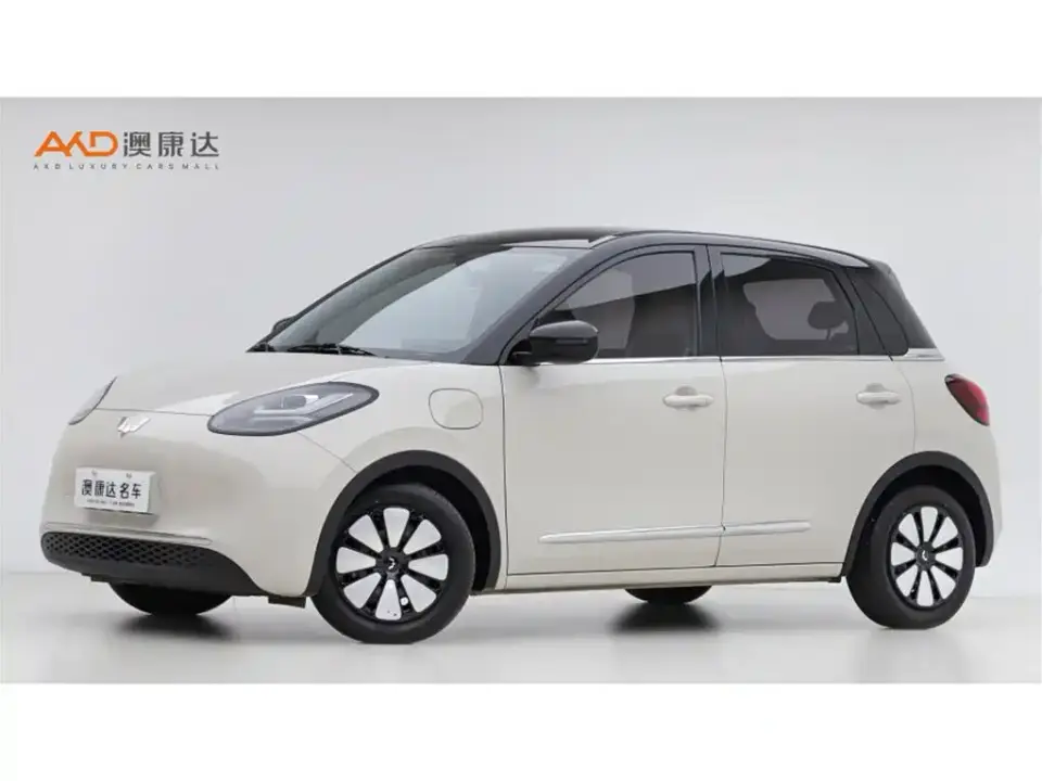 Wuling Motors Wuling Bingo 333km Comfort Edition 2024