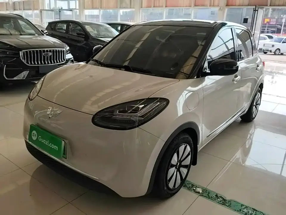 Wuling Motors Wuling Bingo 333km Comfort Edition 2024