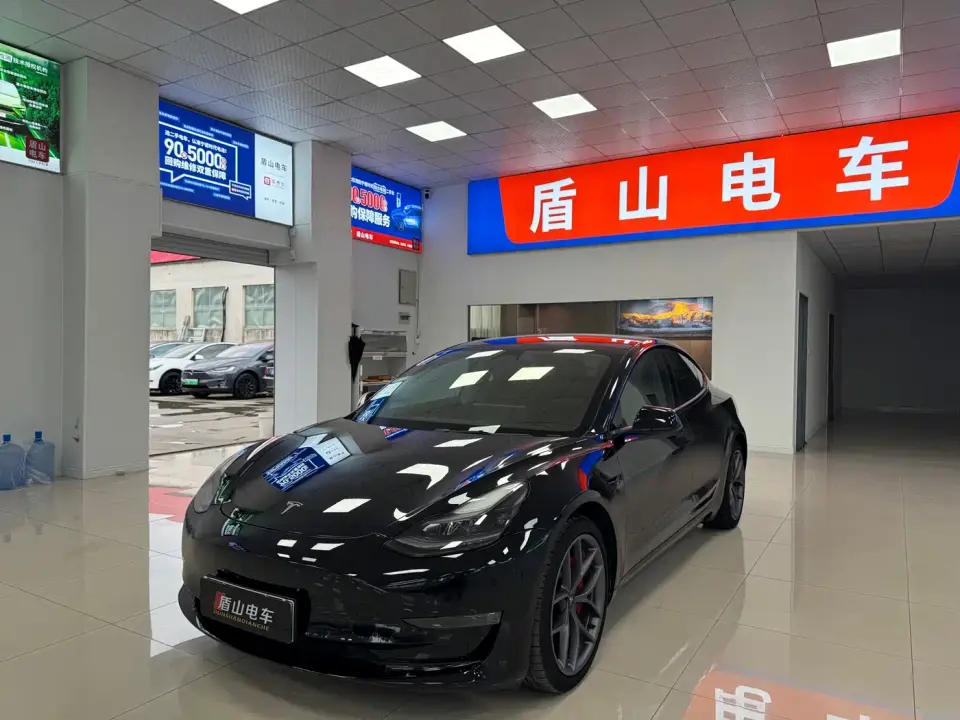 Tesla Model 3 Performance High-Performance All-Wheel Drive 2021