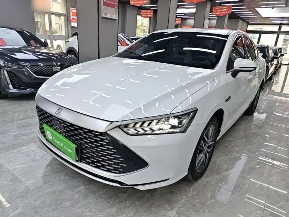BYD Qin PLUS Champion Edition DM-i 120KM Surpassing Type 2023