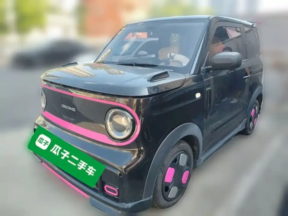 Geely Galaxy Panda Model Year 210km Panda Kart 2026