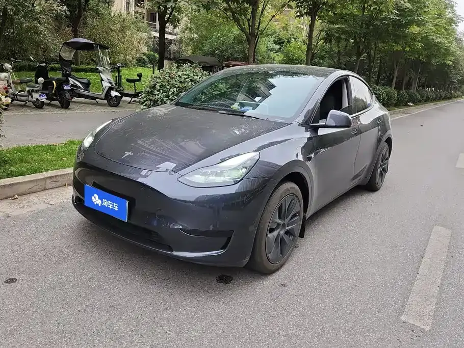 Tesla Model Y Rear-Wheel Drive Version 2024