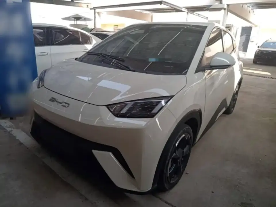 BYD Seagull Freedom Edition 2023