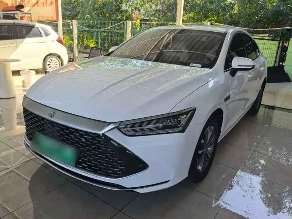 BYD Qin PLUS Glory Edition DM-i 55KM Leading 2024