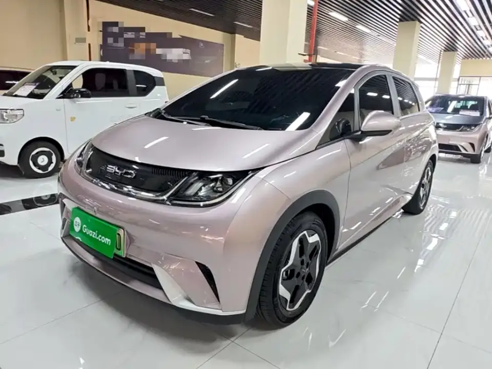 BYD Dolphin Model 405km Fashion Edition 2022