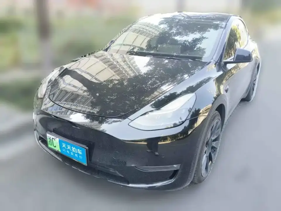 Tesla Model Y Standard Range Rear-Wheel Drive 2021