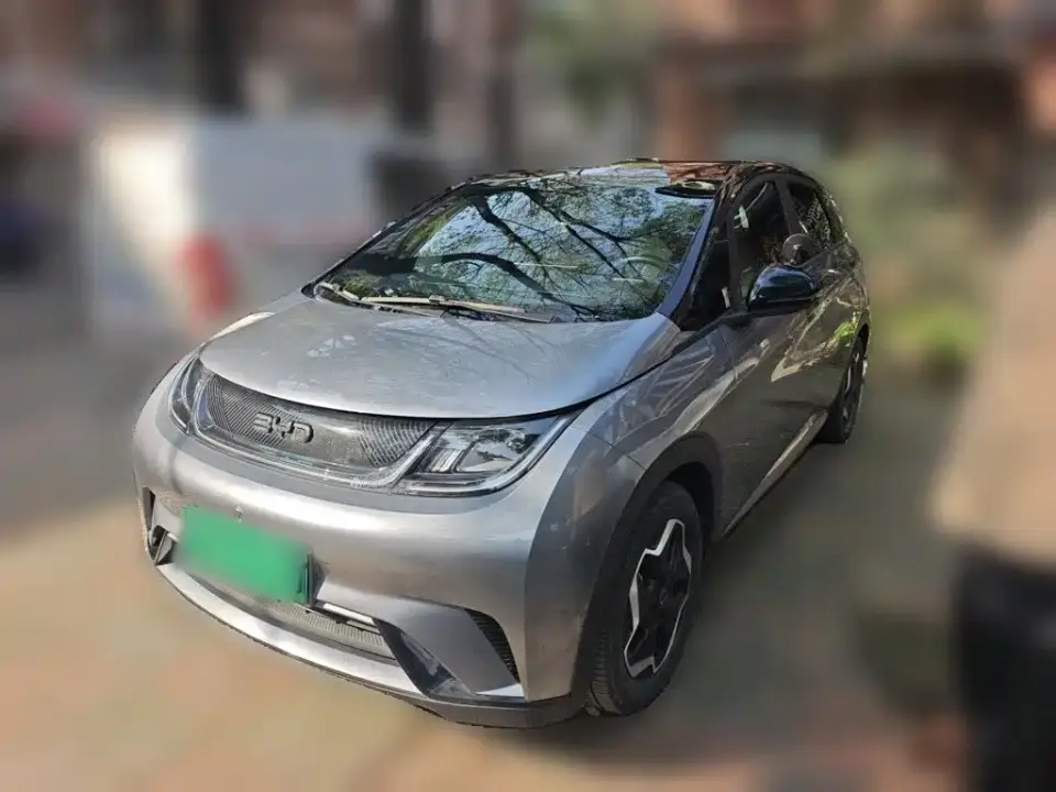 BYD Dolphin Model 405km Fashion Edition 2022