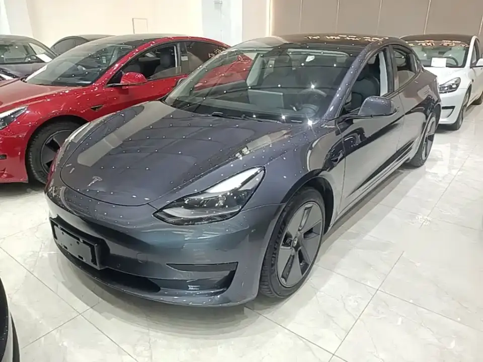 Tesla Model 3 Standard Range Rear-Wheel Drive Upgrade 3D6 2021
