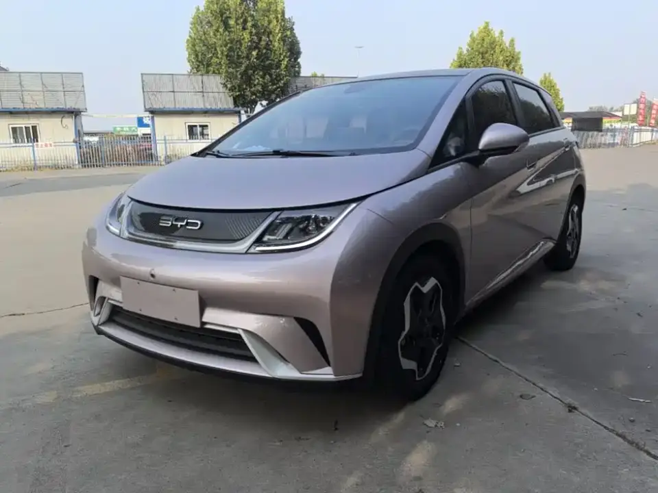 BYD Dolphin Model 405km Fashion Edition 2022