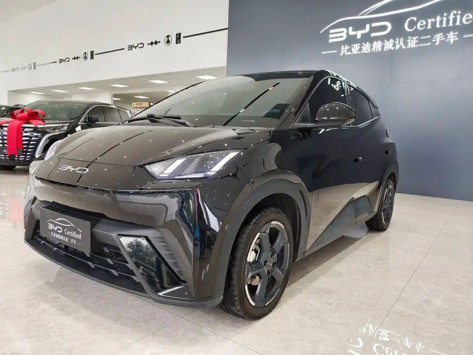 BYD Seagull Freedom Edition 2023