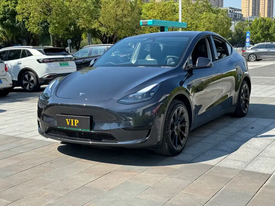 Tesla Model Y Rear-Wheel Drive Version 2024