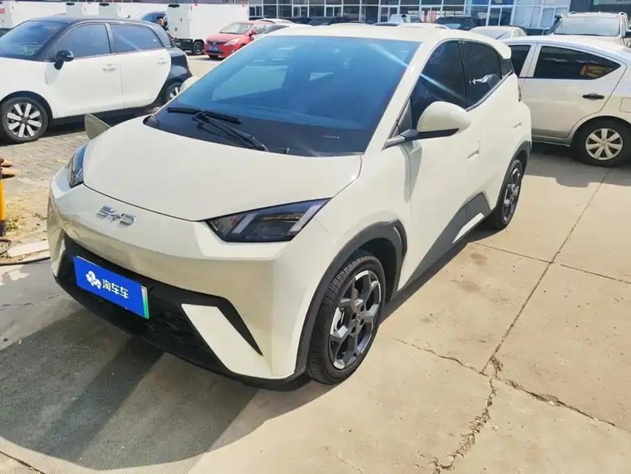 BYD Seagull Glory Edition 305km Freedom Edition 2024