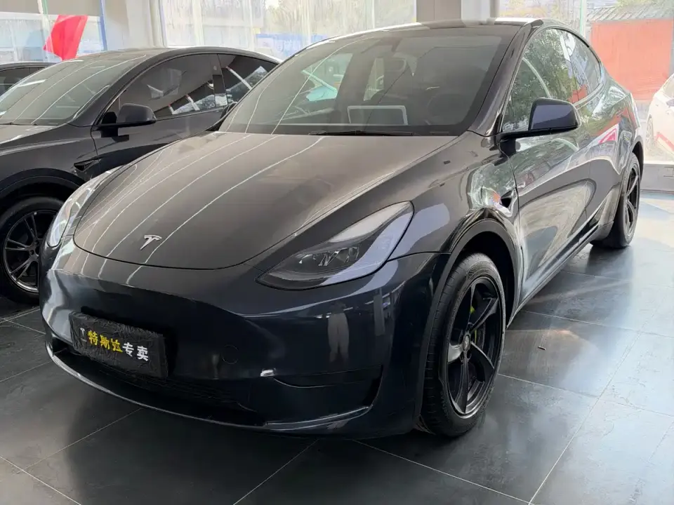 Tesla Model Y Rear-Wheel Drive Version 2024