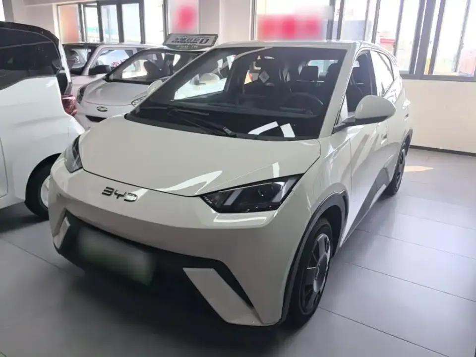 BYD Seagull 305km Vitality 2025