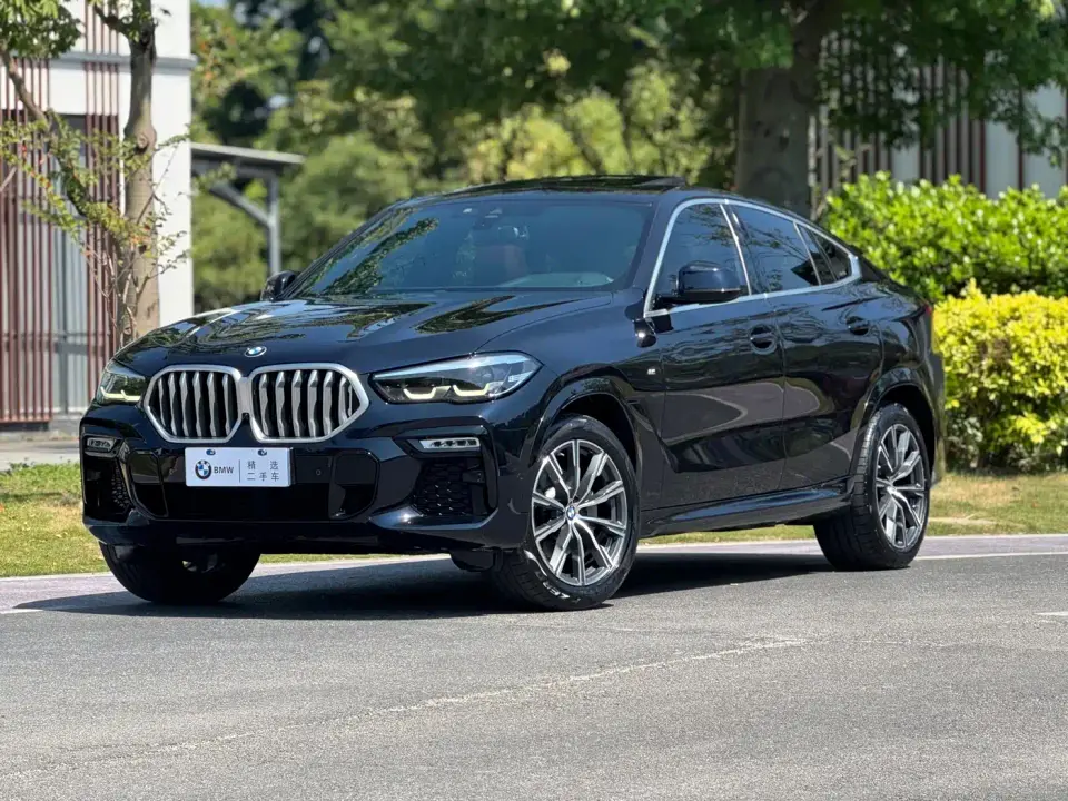BMW X6 xDrive30i M Sport Package 2021