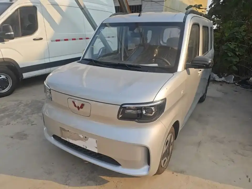 Wuling Motors Wuling Zhiguang NEV Model Comfort 2026