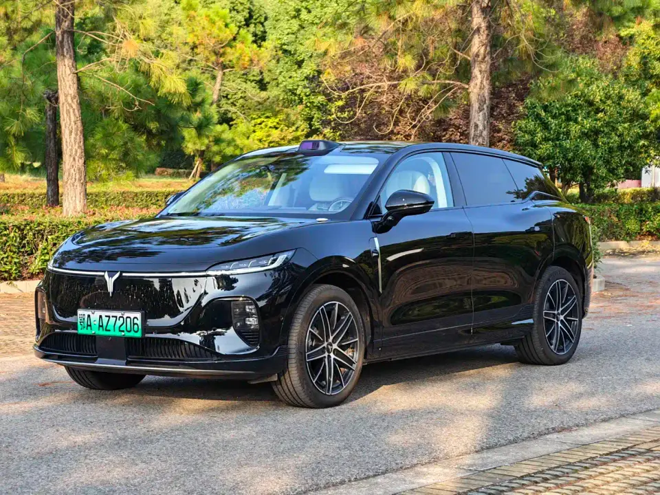 Voyah Auto Voyah Zhiyin Base 2025
