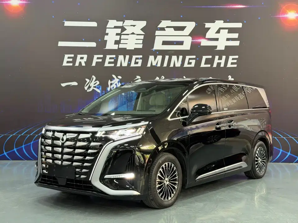 Denza D9 DM-i 1040 Premium 2023