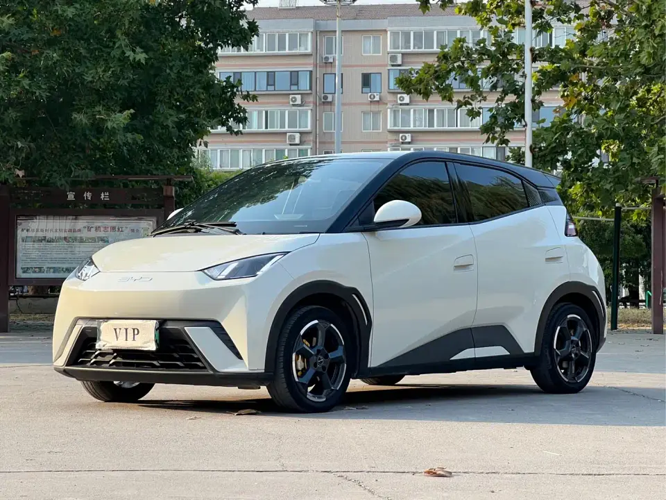 BYD Seagull Freedom Edition 2023