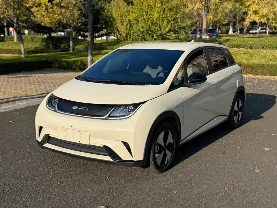 BYD Dolphin 420km Freedom Edition 2023