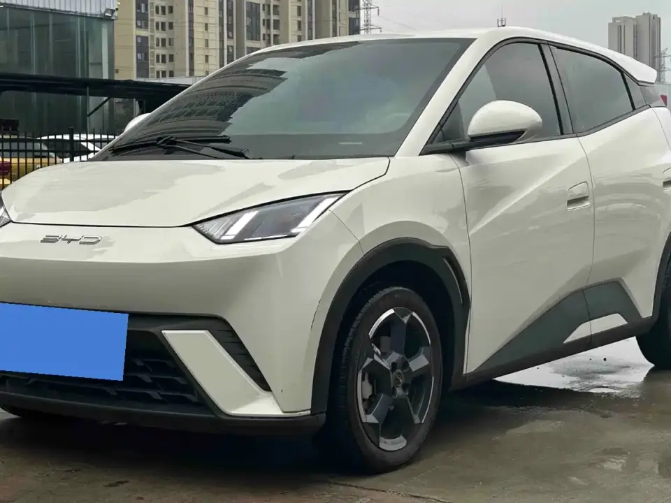 BYD Seagull Freedom Edition 2023
