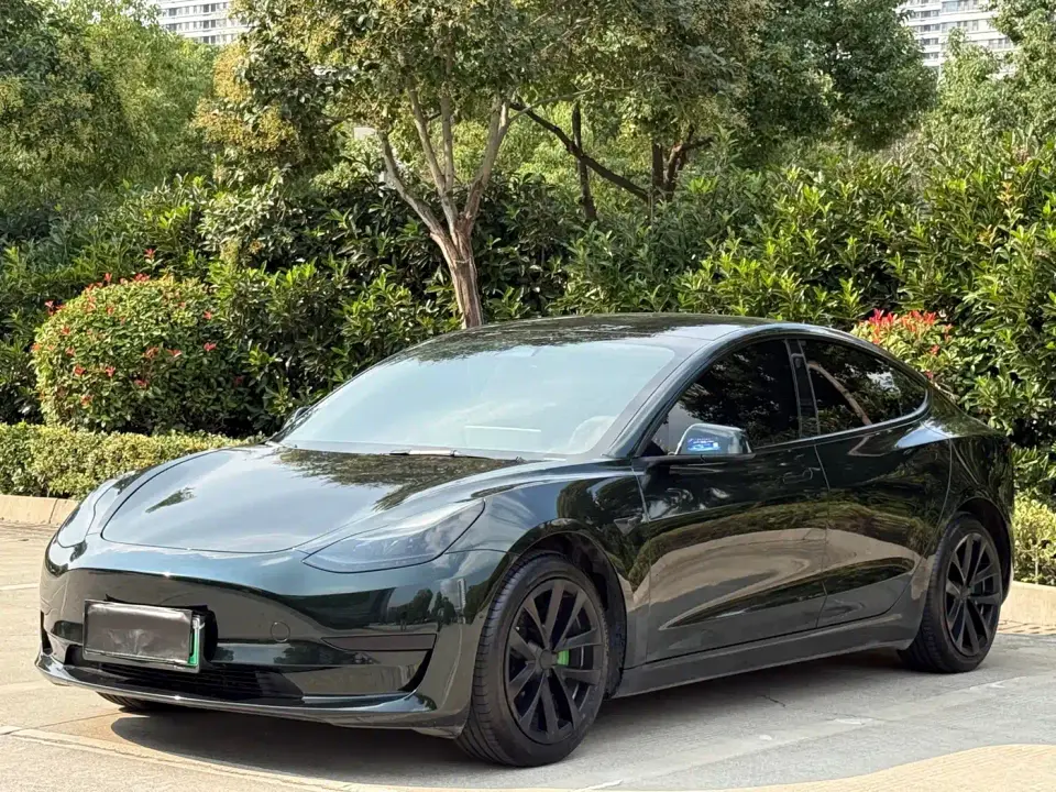 Tesla Model 3 Model Rear-Wheel Drive Version 2022