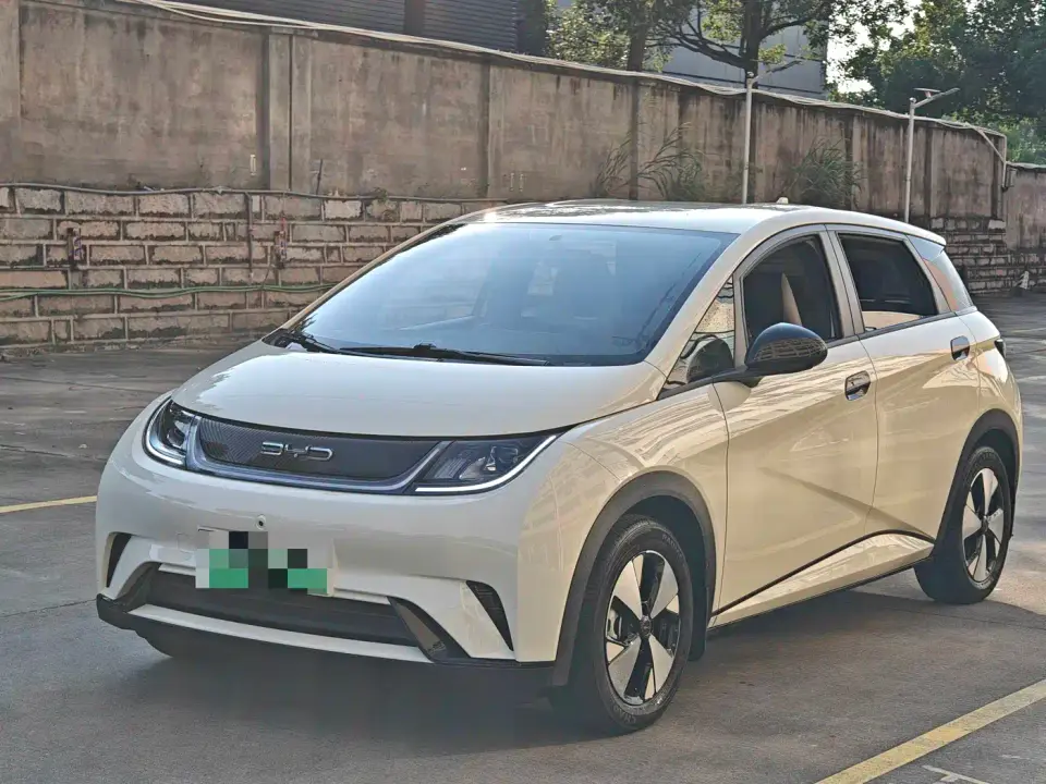 BYD Dolphin 420km Freedom Edition 2023