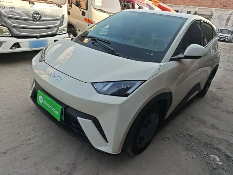 BYD Seagull 305km Vitality 2025