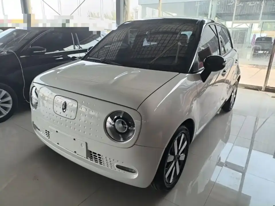 ORA Black Cat 351km Luxury Model 2021