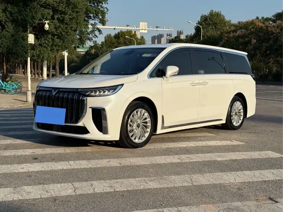 Voyah Auto Voyah Dreamer Zero Carbon Edition Home 475km 2023