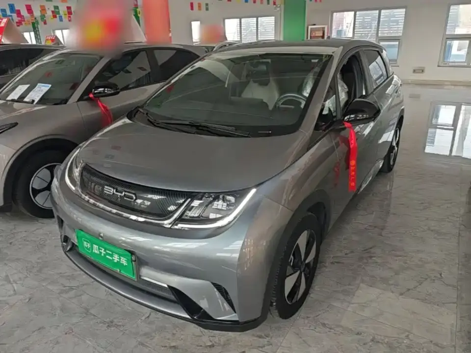 BYD Dolphin 420km Freedom Edition 2023