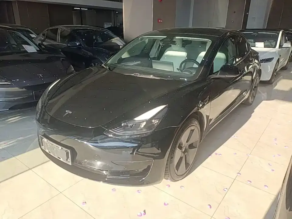 Tesla Model 3 Model Rear-Wheel Drive Version 2022