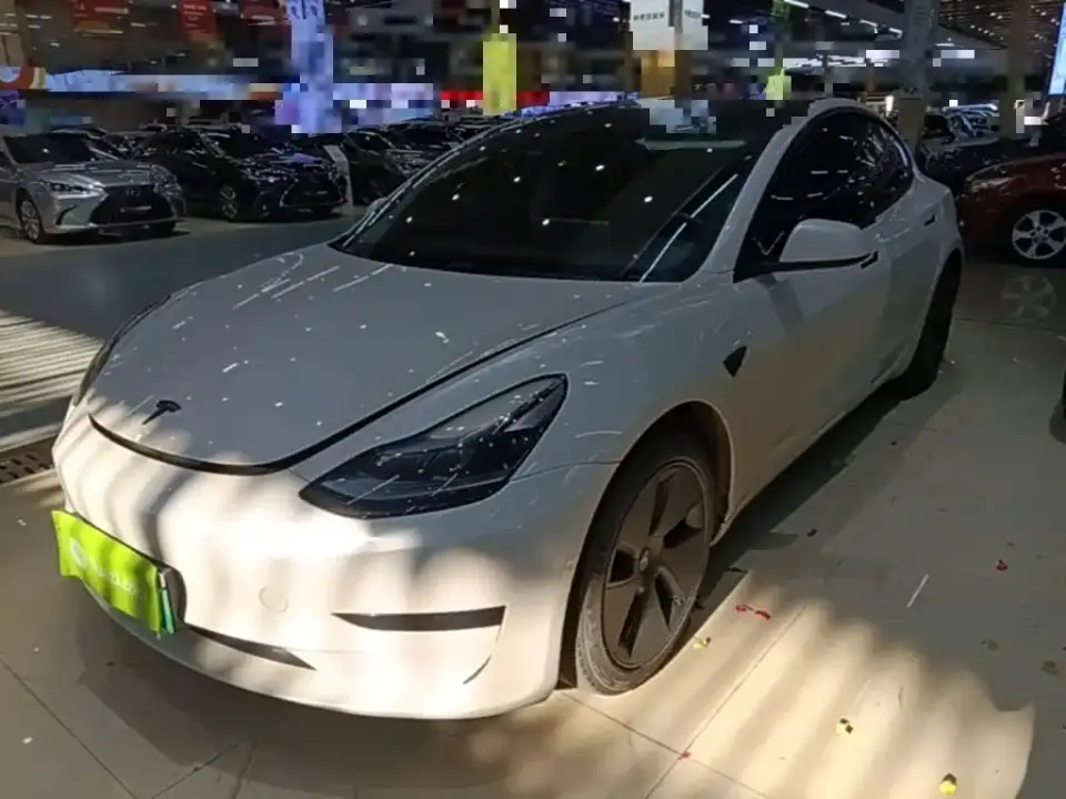 Tesla Model 3 Model Rear-Wheel Drive Version 2022