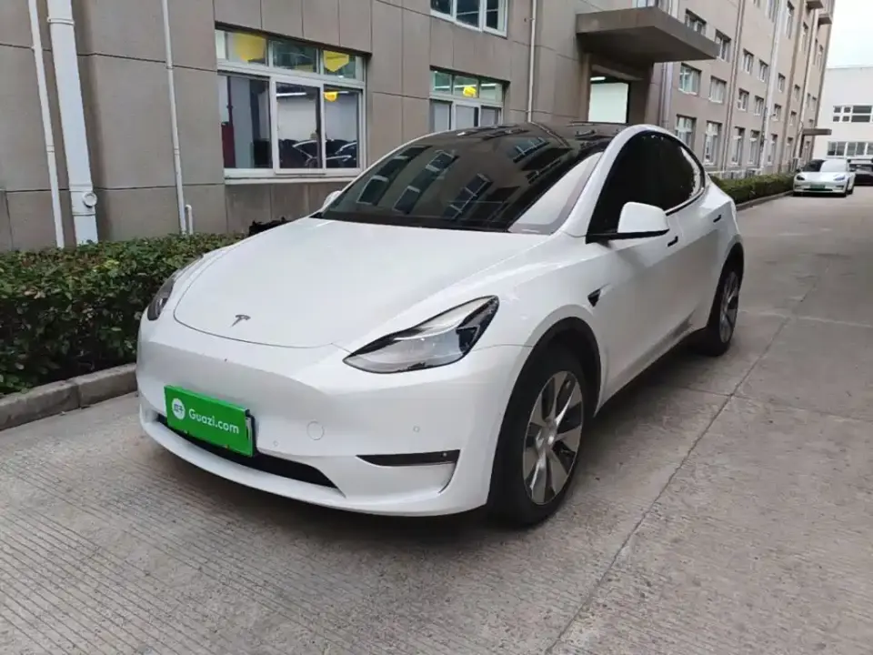 Tesla Model Y Model Long Range AWD 2021