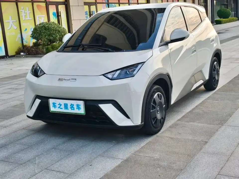 BYD Seagull Glory Edition 305km Vitality Edition 2024