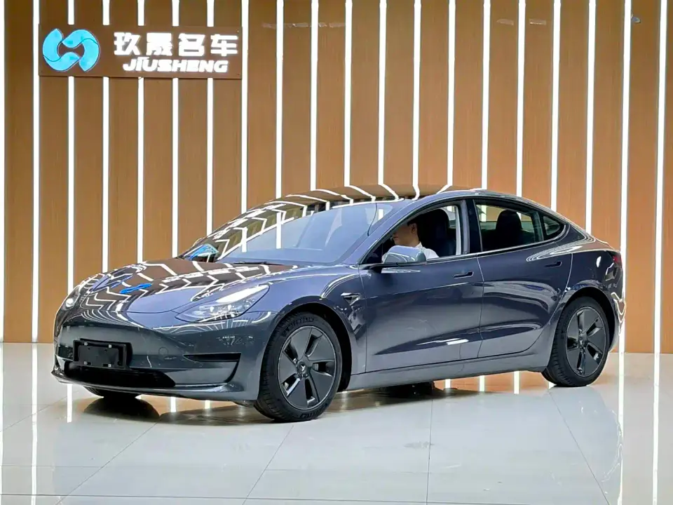 Tesla Model 3 Standard Range Rear-Wheel Drive Upgrade 3D6 2021