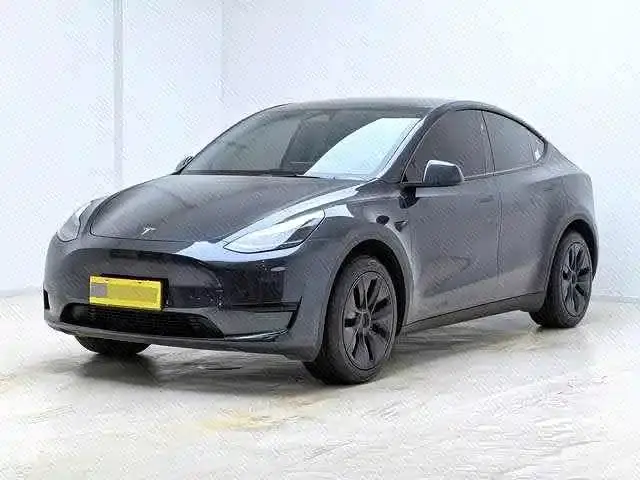 Tesla Model Y Rear-Wheel Drive Version 2024