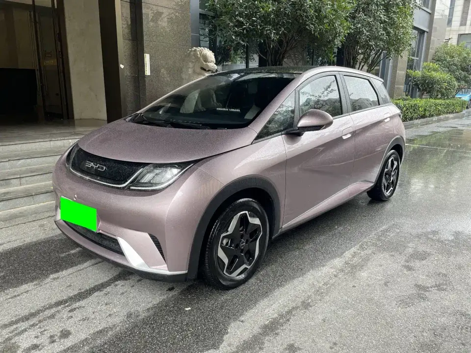 BYD Dolphin Model 405km Fashion Edition 2022