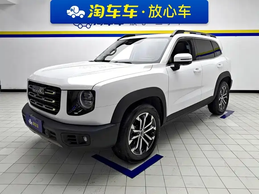 Haval Big Dog 1.5T DCT 2WD Border Collie - Wangcai Edition 2021