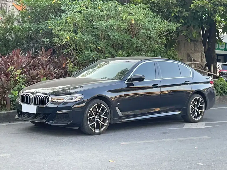 BMW 5 Series Facelift II 530Li Premium Package M Sport 2022