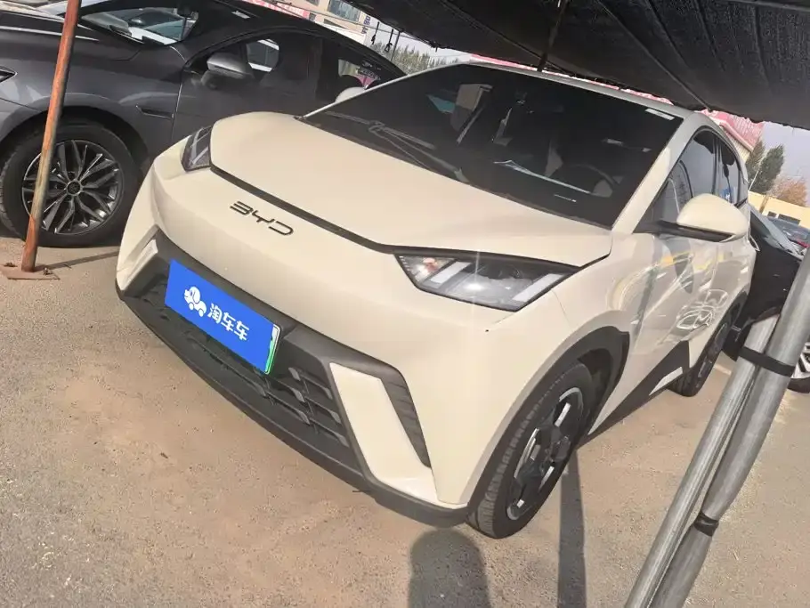 BYD Seagull Freedom Edition 2023