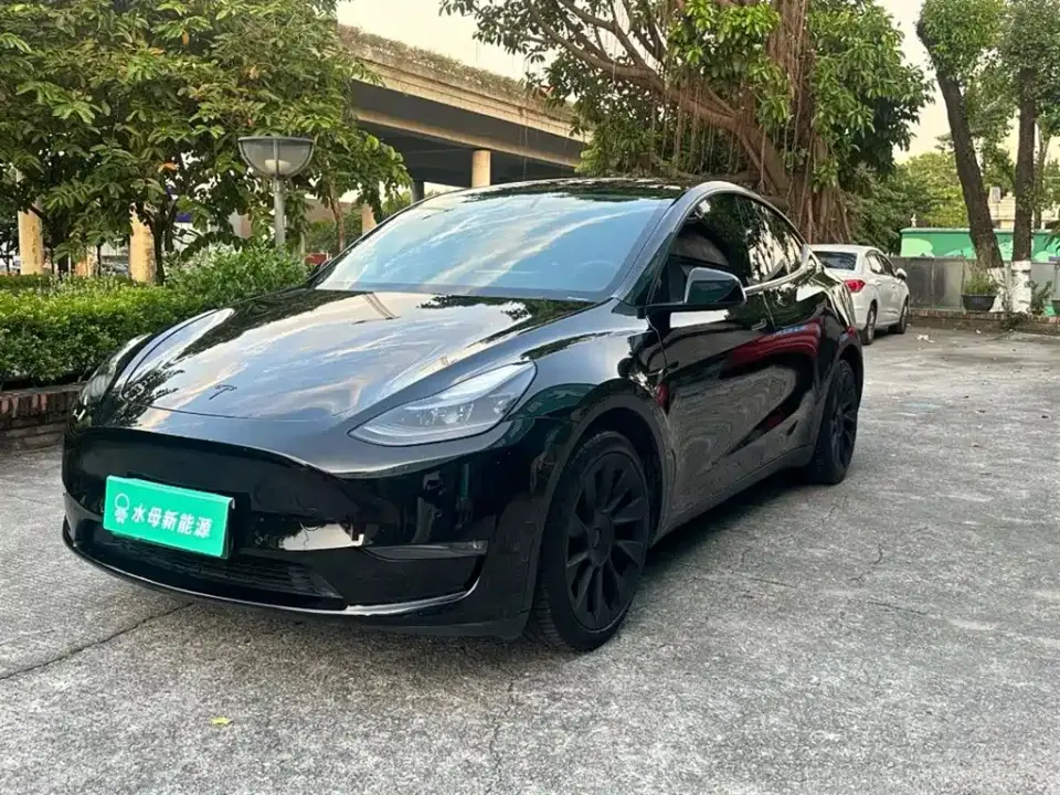 Tesla Model Y Model Long Range AWD 2021