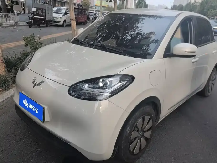 Wuling Motors Wuling Bingo 333km Quick Enjoy Version 2024